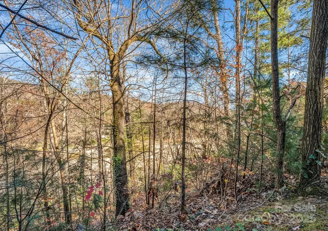 3rd image of 167 Firefly Pt, Lake Lure, NC 28746 | MLS# 4321219