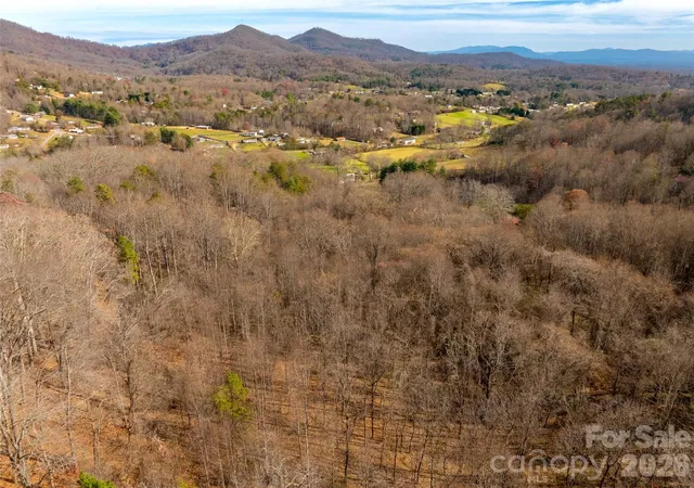 5th image of 99999 Bay Horse Trl, Candler, NC 28715 | MLS# 4321615