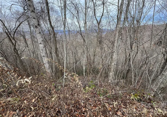 Homes for sale in Bryson City, NC | Lot 7 Deer Ridge Rd, Bryson City, NC 28713 | MLS# 4321782