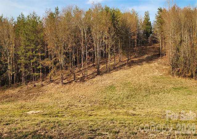 Photo 3 of Land for sale at 151 Cobb Rd, Blacksburg, SC 29702 | MLS# 4321842 | Listing updated on 2026-09-30