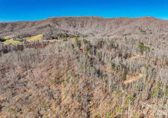 Homes for sale in Green Mountain, NC | 00000 High Peak Rdg #10, Green Mountain, NC 28740 | MLS# 4322720