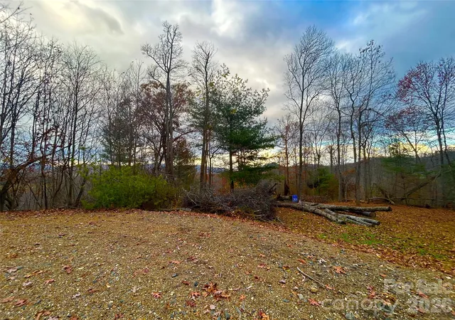Homes for sale in Green Mountain, NC | 00000 High Peak Rdg #10, Green Mountain, NC 28740 | MLS# 4322720