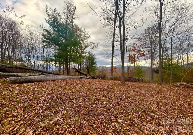 Homes for sale in Green Mountain, NC | 00000 High Peak Rdg #10, Green Mountain, NC 28740 | MLS# 4322720