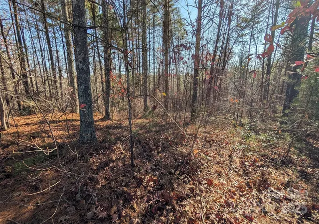 3rd image of 1111 Table View Dr, Morganton, NC 28655 | MLS# 4322891