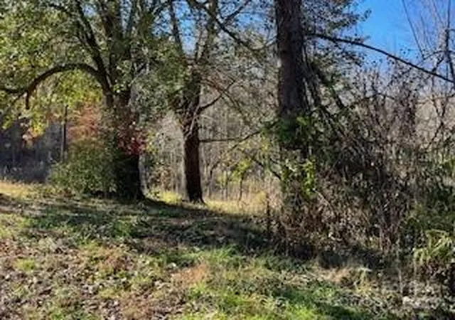 Photo 4 of Land for sale at 418 Owl Hollow Rd, Marion, NC 28752 | MLS# 4322933 | Listing updated on 2026-08-23