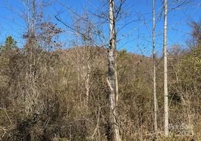 Photo 5 of Land for sale at 418 Owl Hollow Rd, Marion, NC 28752 | MLS# 4322933 | Listing updated on 2026-08-23