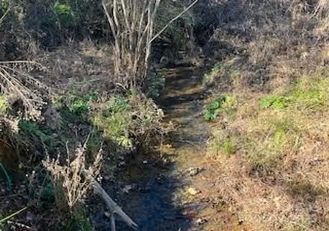 Photo 9 of Land for sale at 418 Owl Hollow Rd, Marion, NC 28752 | MLS# 4322933 | Listing updated on 2026-08-23