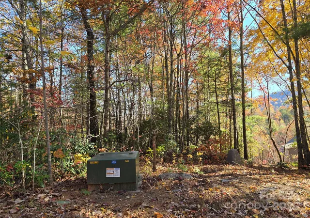 Photo 4 of Land for sale at 295 S Feather Fls Trl #50, Black Mountain, NC 28711 | MLS# 4322936 | Listing updated on 2026-07-30