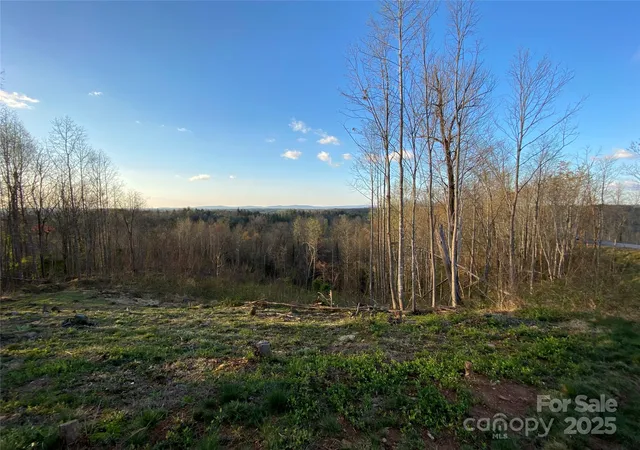 Photo 3 of Land for sale at 1030 River Clb Ridge, Lenoir, NC 28645 | MLS# 4323242 | Listing updated on 2026-06-01