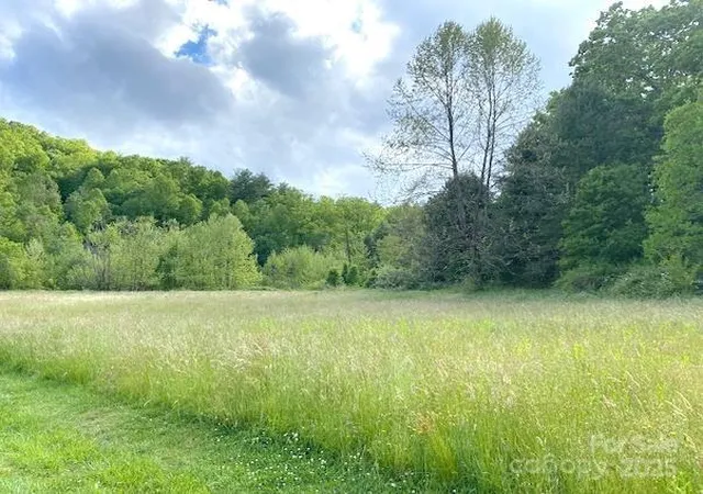 1st image of 99999 Brevard Rd, Hendersonville, NC 28792 | MLS# 4324596