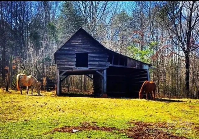 Photo 3 of Land for sale at 00 Macedonia Church Rd, Vale, NC 28168 | MLS# 4324751 | Listing updated on 2026-04-29