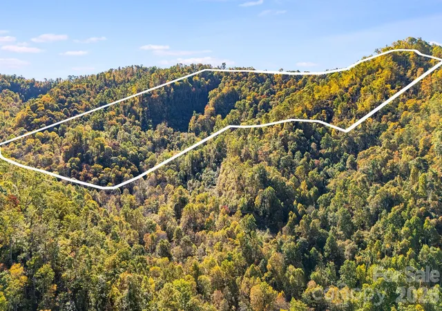 Land for sale at 000 Hamburg Rd #49, Mars Hill, NC 28754 | MLS# 4324762