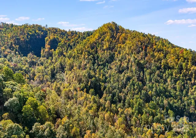 Photo 16 of Land for sale at 000 Hamburg Rd #49, Mars Hill, NC 28754 | MLS# 4324762 | Listing updated on 2025-12-10