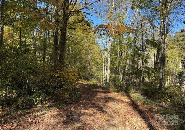 Photo 5 of Land for sale at 000 Hamburg Rd #49, Mars Hill, NC 28754 | MLS# 4324762 | Listing updated on 2025-12-10