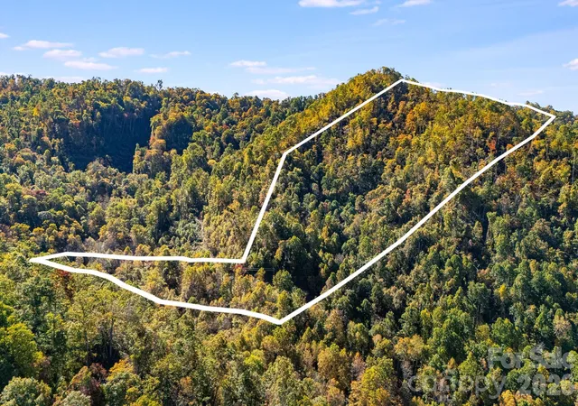 Land for sale at 000 Hamburg Rd #17, Mars Hill, NC 28754 | MLS# 4324766