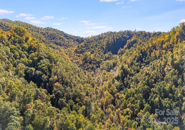 Photo 14 of Land for sale at 000 Hamburg Rd #17, Mars Hill, NC 28754 | MLS# 4324766 | Listing updated on 2026-04-18