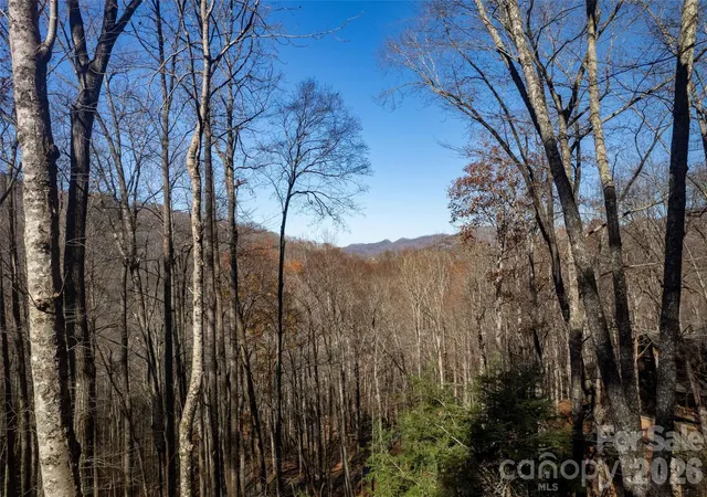 Photo 2 of Single family home for sale at 126 Mossycup Ct, Tuckasegee, NC 28783 | MLS# 4324867 | Listing updated on 2026-05-15