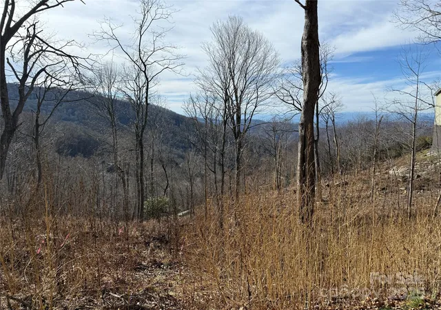 4th image of Lot 5 Slickrock Rd, Burnsville, NC 28714 | MLS# 4324877