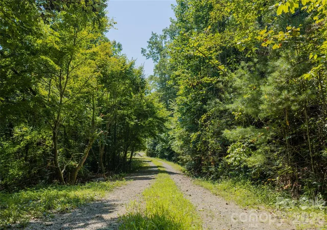 Photo 3 of Land for sale at 649 Old Nc 280 Hwy, Pisgah Forest, NC 28768 | MLS# 4325025 | Listing updated on 2026-08-17