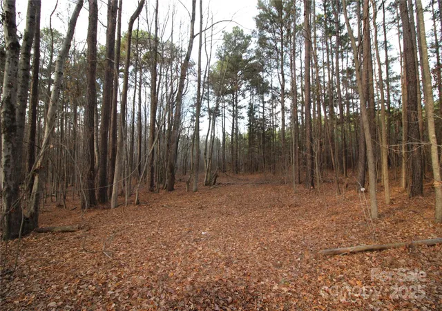 Photo 2 of Sale Pending at 145+/ Ac Pioneer Rd, York, SC 29745 | MLS# 4325601 | Listing updated on 2026-08-21