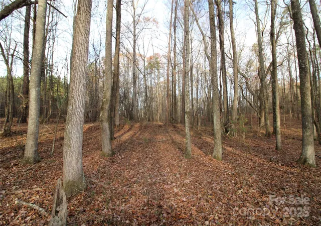Photo 3 of Sale Pending at 145+/ Ac Pioneer Rd, York, SC 29745 | MLS# 4325601 | Listing updated on 2026-08-21