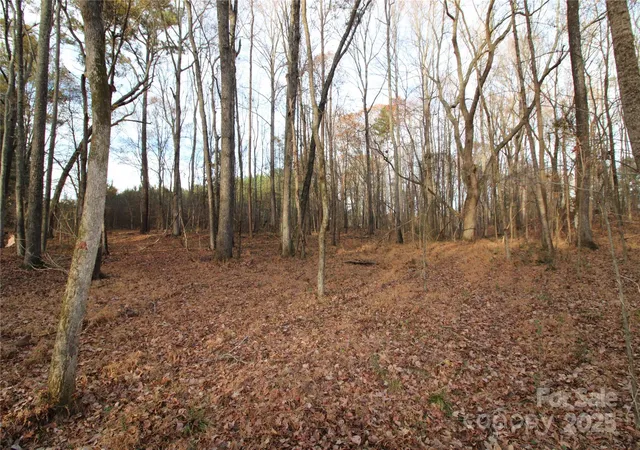 Photo 3 of Sale Pending at 145+/-ac Pioneer Rd, York, SC 29745 | MLS# 4325601 | Listing updated on 2026-08-21