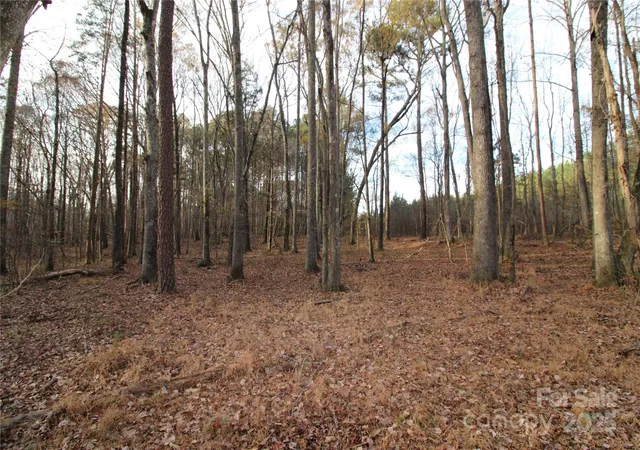 Photo 4 of Sale Pending at 145+/-ac Pioneer Rd, York, SC 29745 | MLS# 4325601 | Listing updated on 2026-08-21