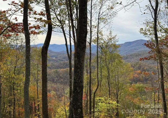 Photo 1 of Land for sale at 223 Flying Dutchman Rd, Sylva, NC 28779 | MLS# 4326494 | Listing updated on 2025-12-04