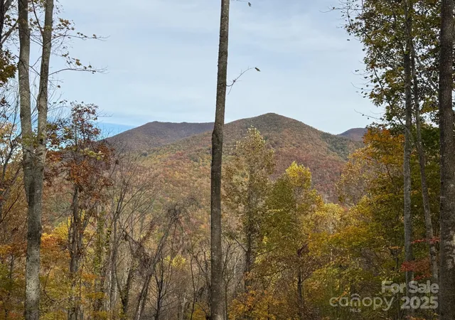 Photo 2 of Land for sale at 223 Flying Dutchman Rd, Sylva, NC 28779 | MLS# 4326494 | Listing updated on 2025-12-04