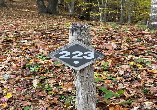 Photo 3 of Land for sale at 223 Flying Dutchman Rd, Sylva, NC 28779 | MLS# 4326494 | Listing updated on 2025-12-04