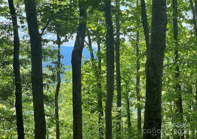 Photo 4 of Land for sale at 223 Flying Dutchman Rd, Sylva, NC 28779 | MLS# 4326494 | Listing updated on 2025-12-04