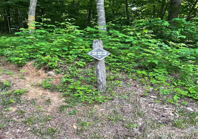 Photo 5 of Land for sale at 223 Flying Dutchman Rd, Sylva, NC 28779 | MLS# 4326494 | Listing updated on 2025-12-04