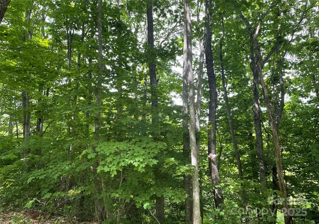 Photo 11 of Land for sale at 223 Flying Dutchman Rd, Sylva, NC 28779 | MLS# 4326494 | Listing updated on 2025-12-04