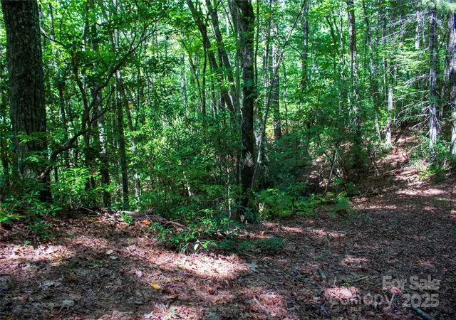 Photo 1 of Land for sale at Tbd Frozen Crk #34, Brevard, NC 28712 | MLS# 4326599 | Listing updated on 2026-08-10