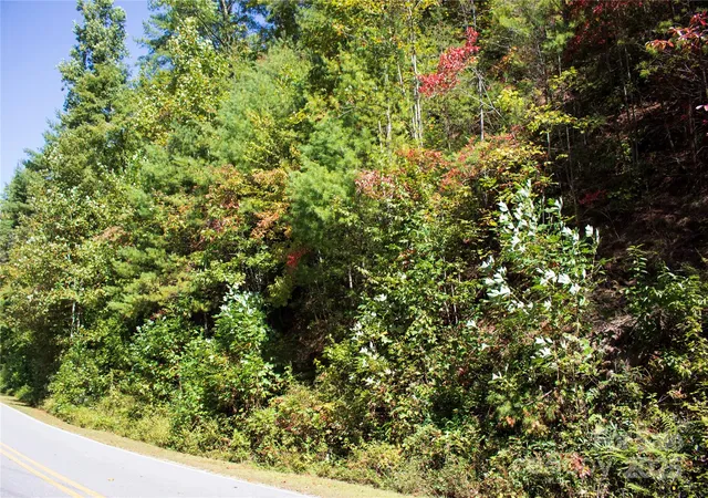 Photo 2 of Land for sale at Tbd Frozen Crk #34, Brevard, NC 28712 | MLS# 4326599 | Listing updated on 2026-08-10