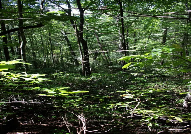 Photo 3 of Land for sale at Tbd Frozen Crk #34, Brevard, NC 28712 | MLS# 4326599 | Listing updated on 2026-08-10