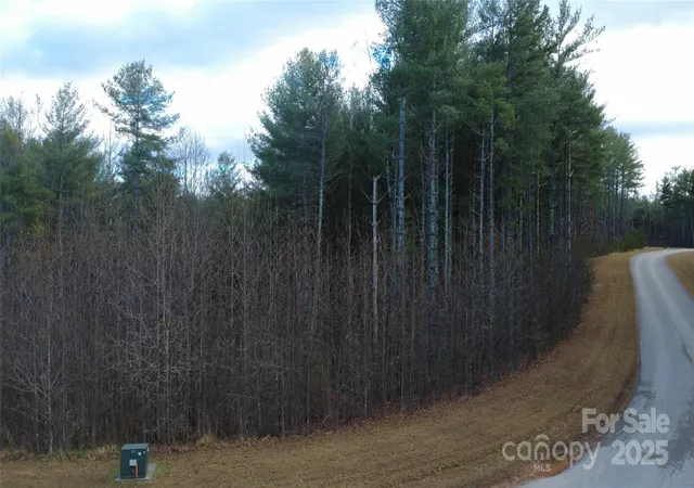 Photo 1 of Land for sale at 597 Peninsula Reserve Rd #34, Nebo, NC 28761 | MLS# 4326985 | Listing updated on 2026-06-02