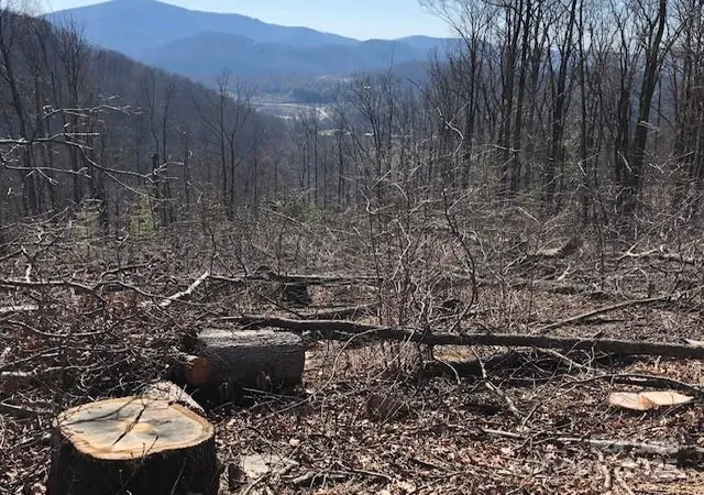 5th image of 000 Butler Ridge Trl #26, Hendersonville, NC 28792 | MLS# 4327114