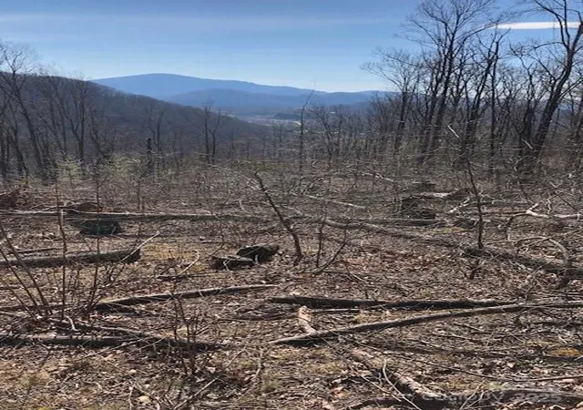 3rd image of 000 Butler Ridge Trl #27, Hendersonville, NC 28792 | MLS# 4327117