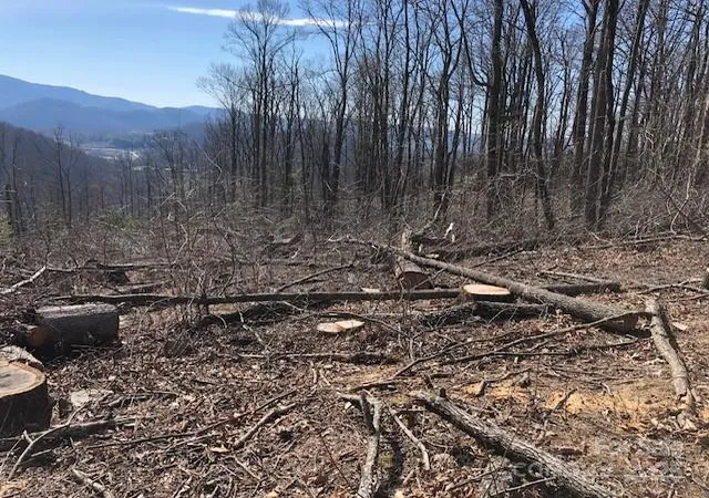 4th image of 000 Butler Ridge Trl #27, Hendersonville, NC 28792 | MLS# 4327117