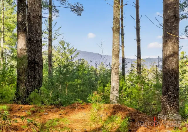2nd image of 365 Peninsula Reserve Rd #25, Nebo, NC 28761 | MLS# 4327307
