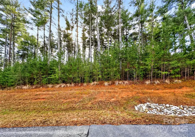 4th image of 365 Peninsula Reserve Rd #25, Nebo, NC 28761 | MLS# 4327307
