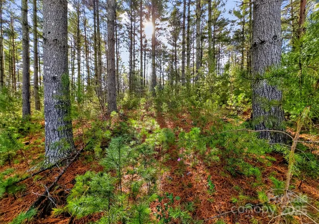 47th image of 365 Peninsula Reserve Rd #25, Nebo, NC 28761 | MLS# 4327307