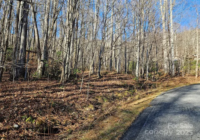 Homes for sale in Waynesville, NC | 000 Serenity Dr #27, Waynesville, NC 28785 | MLS# 4327975
