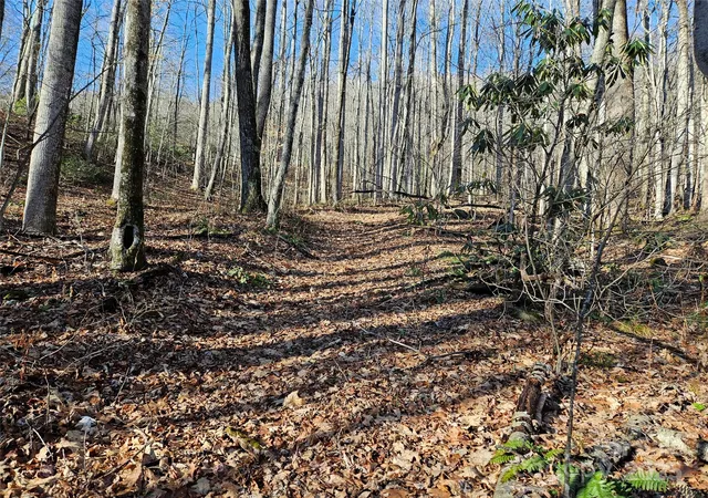 Photo 4 of Land for sale at 000 Serenity Dr #27, Waynesville, NC 28785 | MLS# 4327975 | Listing updated on 2026-08-28