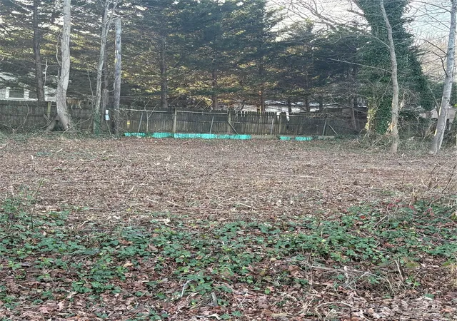 Photo 4 of Land for sale at 0 Nc Hwy 108 E, Columbus, NC 28722 | MLS# 4328216 | Listing updated on 2025-12-11