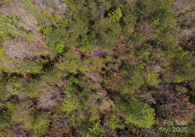 40th image of 0 Snowhill Church Rd, Morganton, NC 28655 | MLS# 4328258