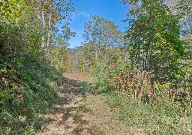 2nd image of 16 Harleys Cvs, Waynesville, NC 28785 | MLS# 4328505