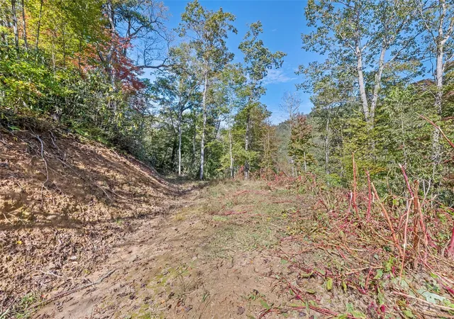 21st image of 16 Harleys Cvs, Waynesville, NC 28785 | MLS# 4328505