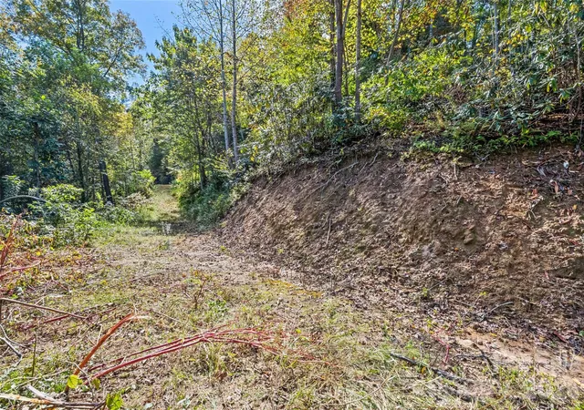 3rd image of 16 Harleys Cvs, Waynesville, NC 28785 | MLS# 4328505